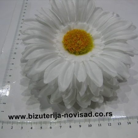 cvetna snala (1)