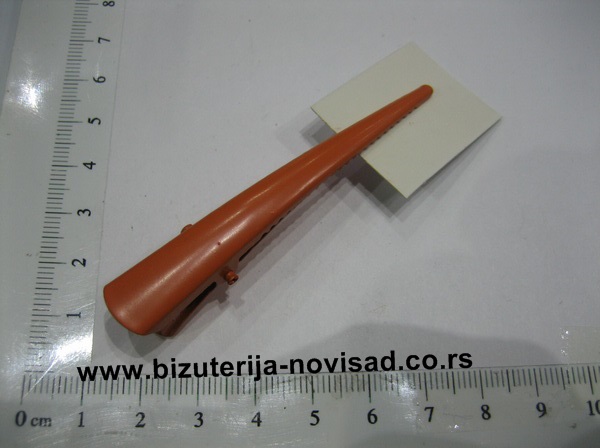 snala papagajka (6)